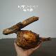 Pine wood, northern agarwood, natural logs, weathered wood ornaments, amber wood artifacts, handpieces, aged materials, high oiliness