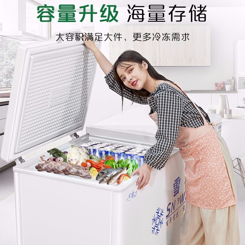 雪花单温双温商用冰柜卧式冰箱冷藏冷冻节能大容量雪糕展示柜 雪花单温双温商用冰柜卧式冰箱冷藏冷冻节能大容量雪糕展示柜