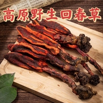 Authentic wild back spring grass Deep Mountain not old grass Top of grass Grass Cistanche Deservette male tonic bubble tea Chinese herbal medicine 500g