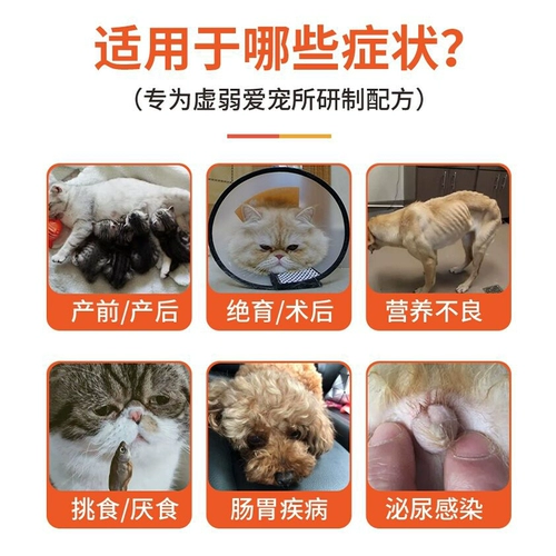 Ветеринар Facebook Biouc Urolology Рецепт кошка пищевая еда для взрослого котенок урологический тракт Выпекание рецепт кошачья еда 1,2 кг