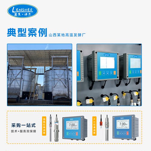 蓝尼诗尔好氧池溶氧仪发酵罐溶氧电极在线溶解氧检测仪曝气溶氧电 - 图2
