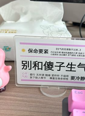loopy小海狸摆件解压治愈系桌面