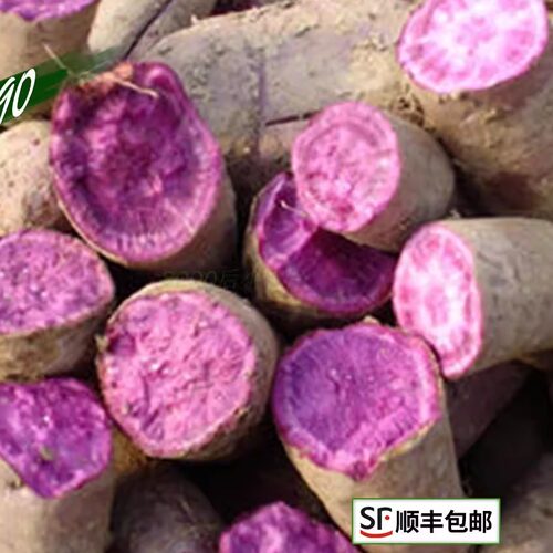 8090 新鲜蔬菜 绿色紫山药 紫淮山 500克 浙江沪满五件包邮 - 图2