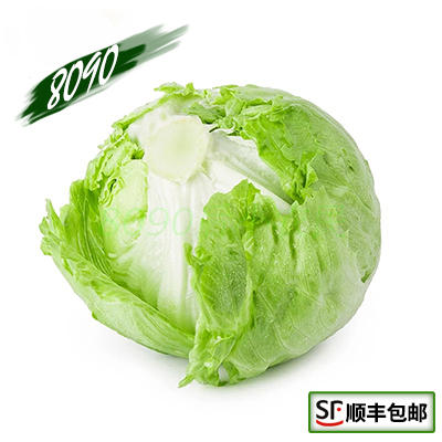 新鲜球生菜圆生球西餐色拉蔬菜沙拉菜 500克浙江沪皖五件包邮-图1