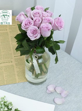 欧月香水切花灌木海洋之歌玫瑰