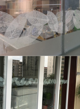 防撞装饰玻璃门自粘腰线