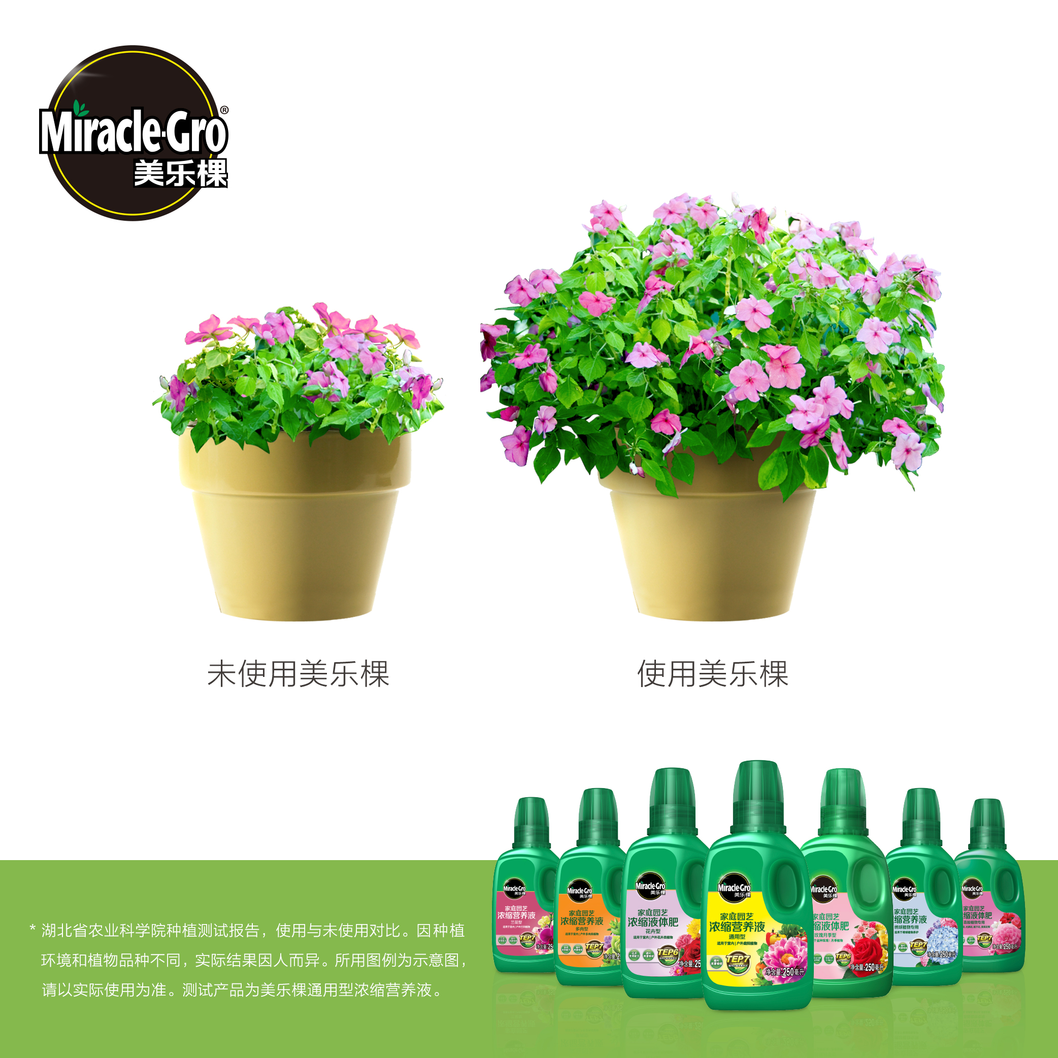 海蒂的花园美乐棵营养液肥料蔬菜花卉绿植水培通用绣球月季水溶肥-图0