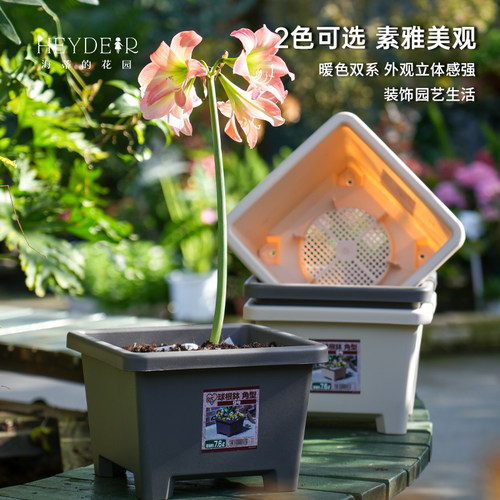 海蒂的花园爱丽思圆形方形球根花盆简约花卉绿植植物阳台庭院栽种 - 图2