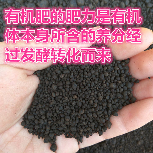 有机发酵腐熟芝麻渣豆饼菜籽饼肥农家蔬菜园花卉盆栽果树通用肥料 - 图1