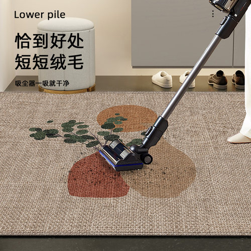 门垫家用门口耐脏脚踏垫门外可定制脚踏垫入户门地垫玄关垫子脚垫 - 图2