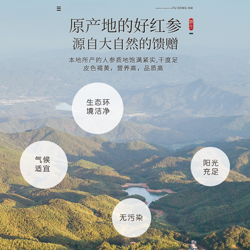 福东海长白山红参整支切片高丽参 福东海人参/园参及其制品