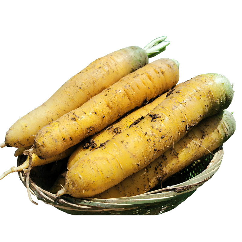 新疆黄心胡萝卜新鲜蔬菜农家自种带泥黄胡萝卜抓饭专用宝宝辅食,淘宝优惠券,粉丝福利购,淘宝优惠卷