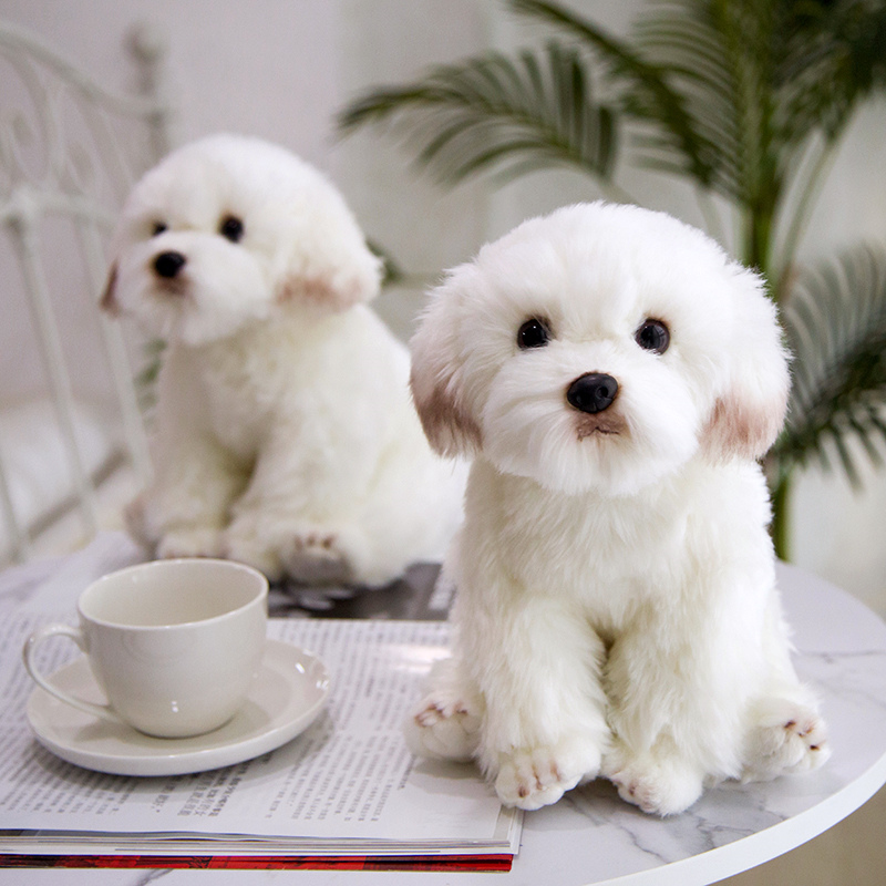 仿真马尔济斯犬玩偶白色长毛绒小白狗公仔儿童生日节日礼送女朋友-图1