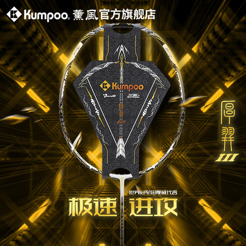 薰风羽毛球拍超轻碳素纤维专业比赛球拍羽拍熏风蚀日三代 - 图2