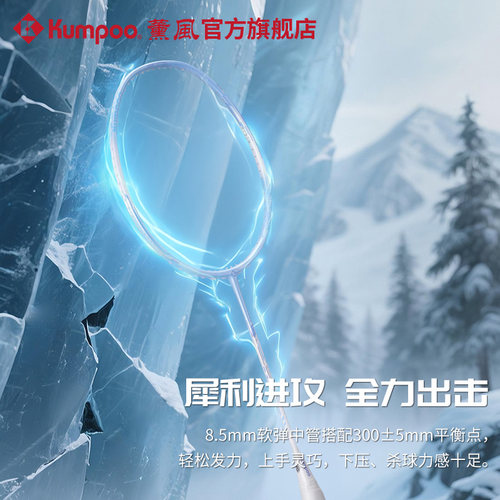 薰风新款羽毛球拍碳素纤维超轻耐打训练比赛单拍熏风Blizzard66 - 图1