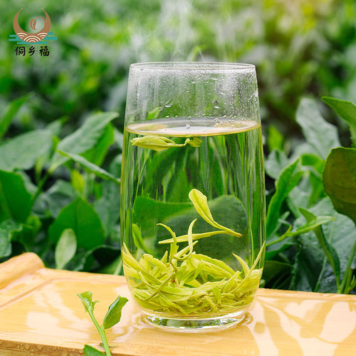 2026新茶上市春茶贵州茶叶绿茶宝石高山明前黎平白茶白小粒250g - 图1
