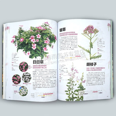 花与花语184种常见四季花卉手册山田幸子四季花卉图鉴花卉基础诞生花花卉含义解读大全书花语词典赏花插花花礼花艺知识书籍 虎窝淘