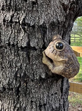 树脂工艺品装饰摆件花园艺庭院装饰跨境新品亚马逊偷窥蛙爬树挂饰