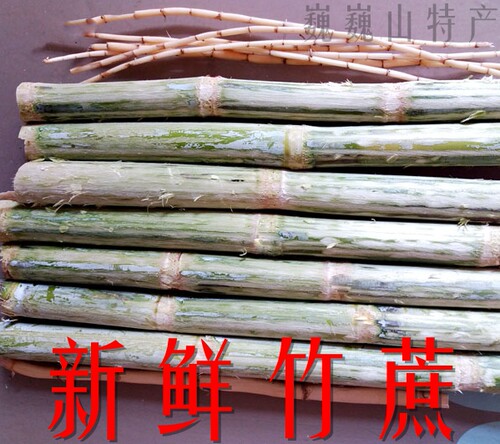 新鲜芦根野芦苇根鲜现挖苇子根凉茶食材另售有白茅根竹蔗芦根包邮 - 图2