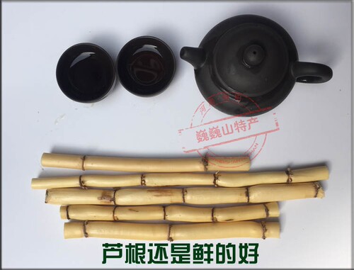 新鲜芦根野芦苇根鲜现挖苇子根凉茶食材另售有白茅根竹蔗芦根包邮 - 图1
