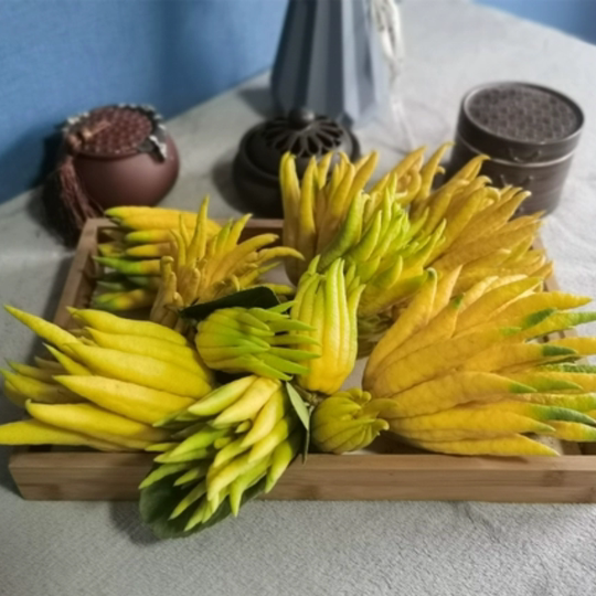 Freshly picked Jinhua Bergamot fresh green fruit