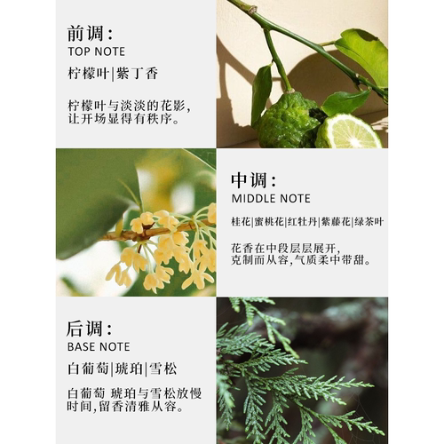希汀·【优雅香氛】温柔清新香水女士持久淡香少女送朋友生日礼物 - 图0