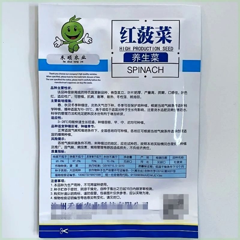 四季种植红菠菜种子 耐寒有机菠菜籽种大叶尖叶小叶菠菜 冬季播种 - 图2