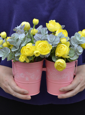 室内植物花艺盆栽餐厅创意摆件