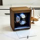 Automatic mechanical watch for watch shaker for household use