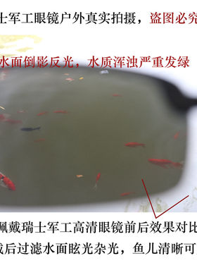 德国精工看水底钓鱼变色偏光墨镜