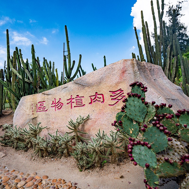 厦门旅游云水谣鼓浪屿5天4晚跟团游住4钻酒店含接送纯玩-图3