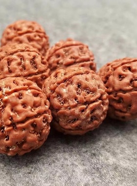 尼泊尔满肉大金刚菩提子手串红皮矮桩佛珠男士原籽六七八九789瓣