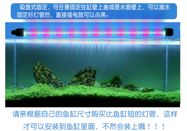 LED潜水24V安全电压大型T8三基色水族防水鱼缸造景水草灯水陆两用 - 图1