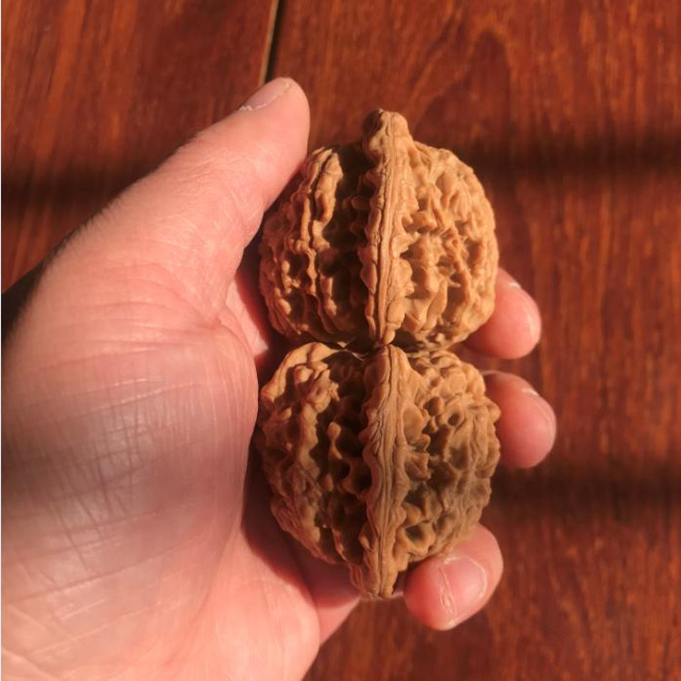 52mm龙鼎纹官帽一物一图麻核桃文玩把件老树圆润自然矮桩大肚麒麟,淘宝优惠券,粉丝福利购,淘宝优惠卷