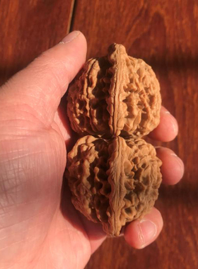 52mm龙鼎纹官帽一物一图麻核桃文玩把件老树圆润自然矮桩大肚麒麟