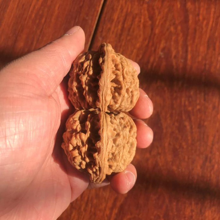 52mm龙鼎纹官帽一物一图麻核桃文玩把件老树圆润自然矮桩大肚麒麟,淘宝优惠券,粉丝福利购,淘宝优惠卷