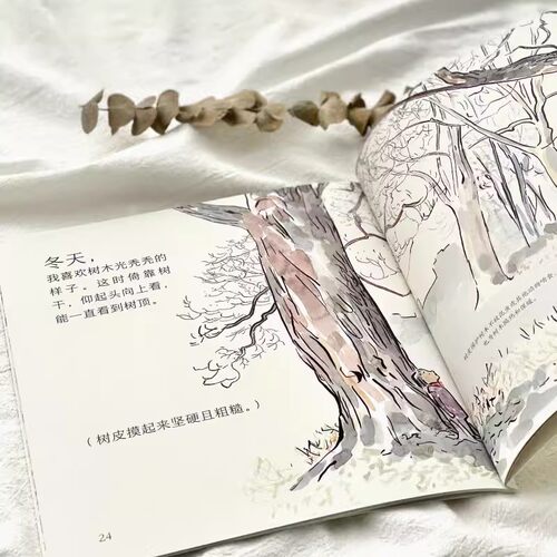 当当网正版童书 自然故事（套装共5辑）国际大奖获奖插画家、生物保护学家、著名科普作家等共同创作，浪花朵朵 - 图2
