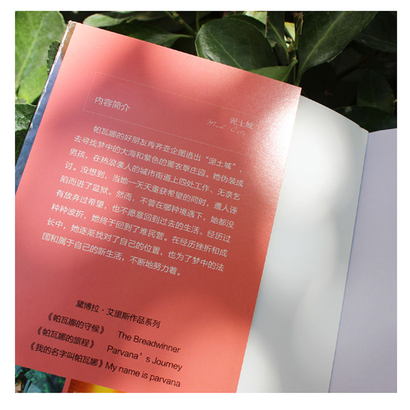 图 3