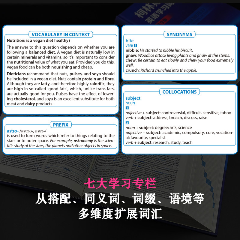 柯林斯COBUILD高阶英语学习词典(第9版)