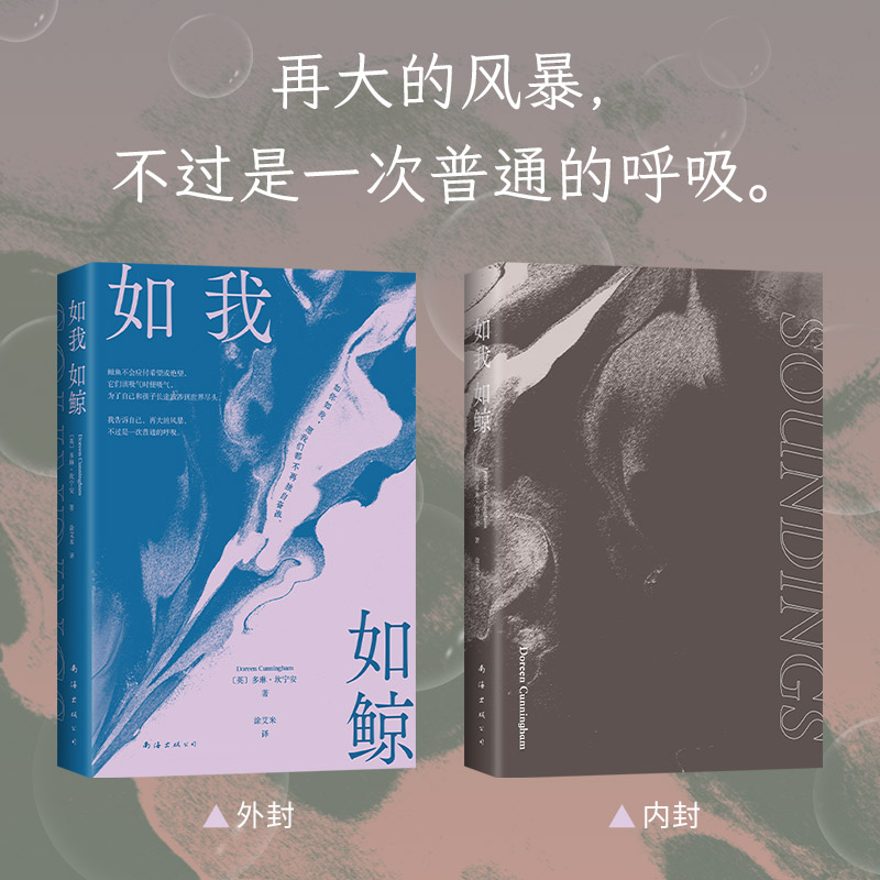 如我如鲸（英国皇家文学会非虚构文学奖，母子极地寻鲸之旅，找回对抗孤独的力量） - 图2