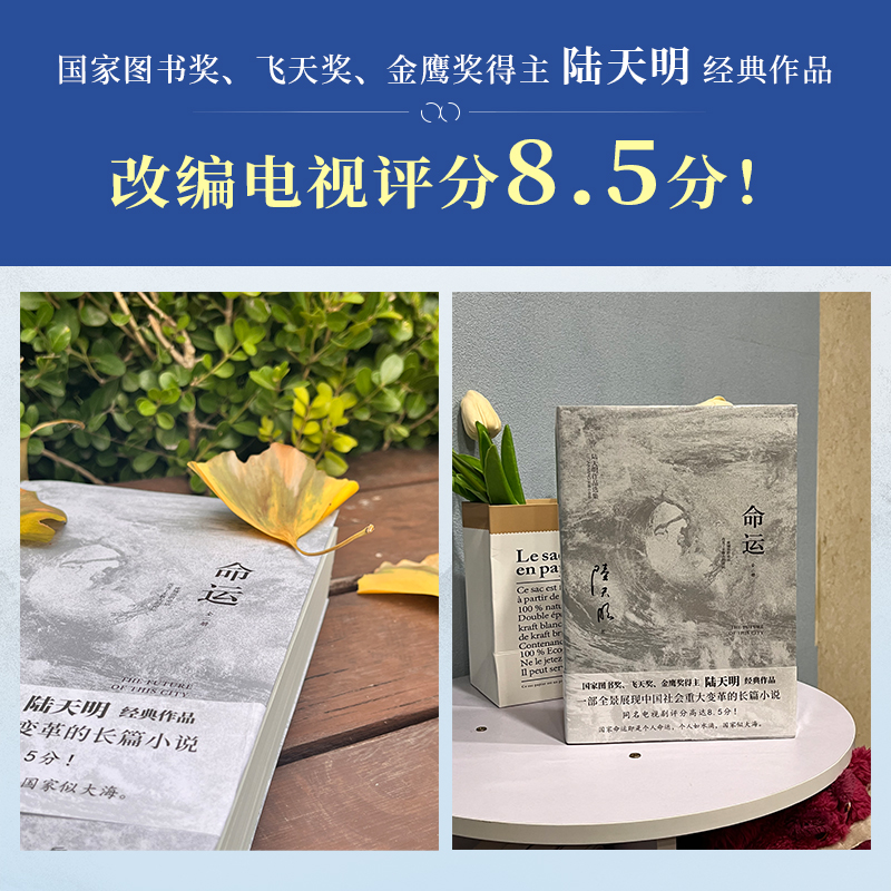 命运（全二册）国家图书奖、飞天奖、金鹰奖得主陆天明经典作品官场反腐小说-图3