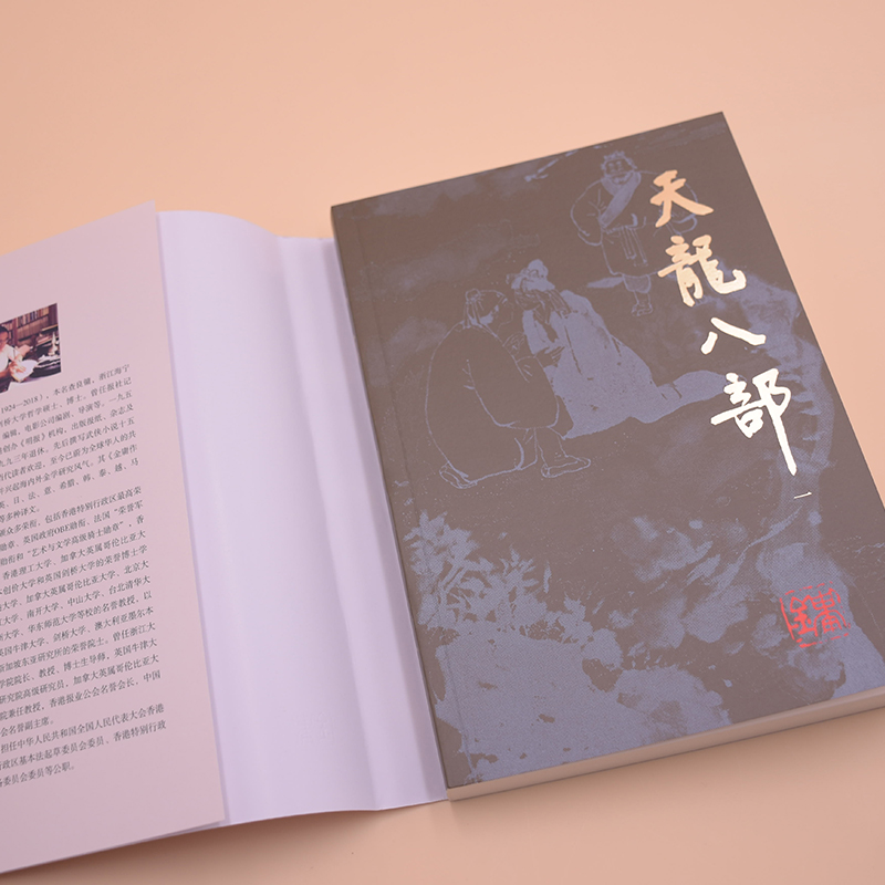 金庸作品集（彩图平装旧版）金庸全集21－25册天龙八部(全五册)金庸武侠小说作品 乔峰 段誉虚竹江湖及感情上的恩恩怨怨 彩色插图 - 图0