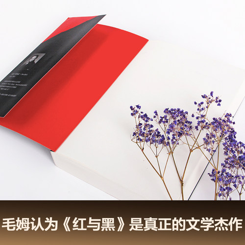 【当当网】红与黑司汤达著罗新璋法文直译无删节全新修订精美包装英文原版中文无删减译本高中生阅读世界名著文学小说正版书籍-图1