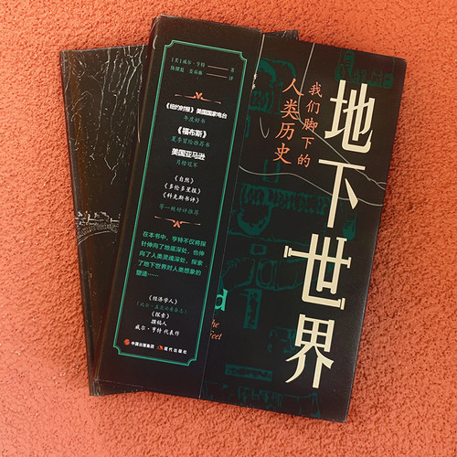 地下世界：我们脚下的人类历史 - 图2