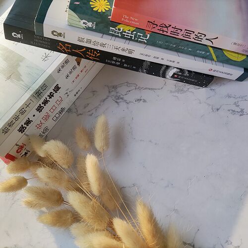 【当当网 正版书籍】文学名著经典套装（全8册）给青年的十二封信 谈美 名人传 昆虫记 城南旧事等寒暑假课外读物名著快乐读书吧 - 图1