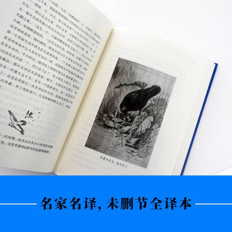 当当网正版书籍  经典译林：西顿野生动物故事集（又译《西顿动物记》！名家名译！原版手绘插图！增补附赠《动物英雄》三大名篇） - 图0