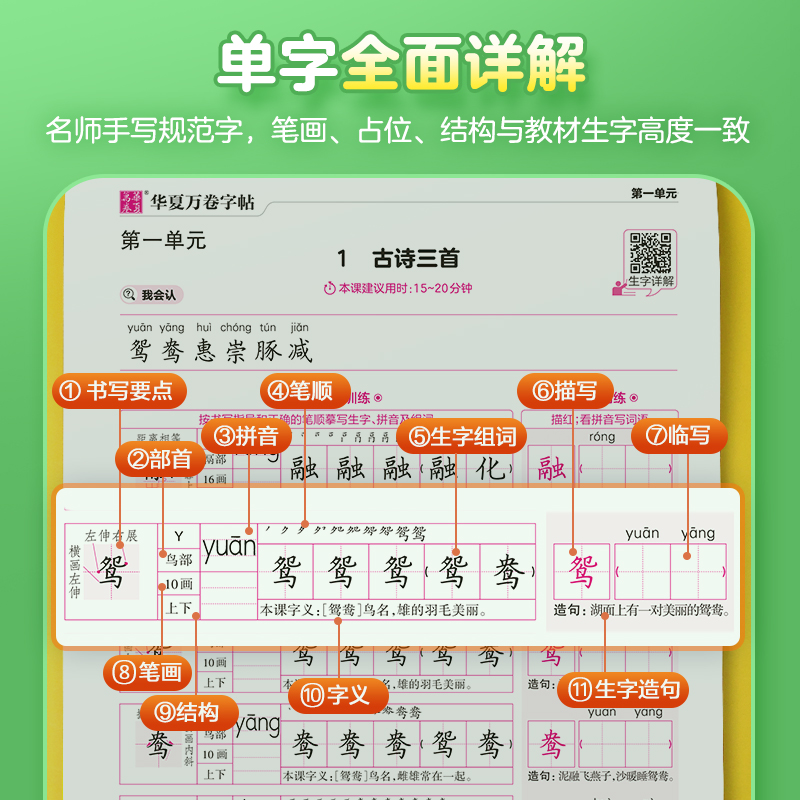 华夏万卷小学生语文同步生字练字帖RJ人教版 2023春季每日一练天天练  四4年级下册小学生生写字课课练 周培纳楷书笔顺笔画字帖( - 图2