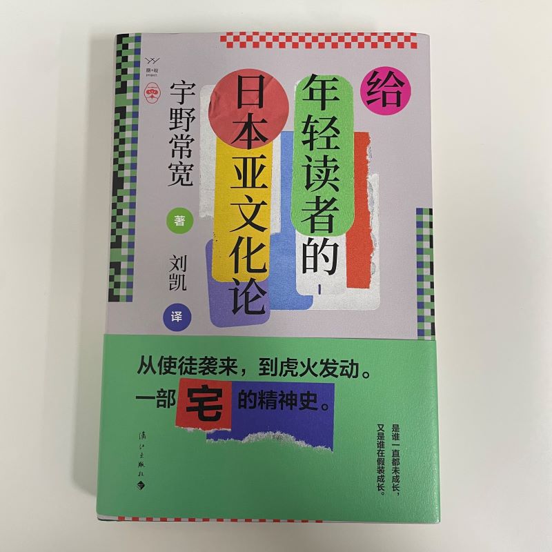 给年轻读者的日本亚文化论 宇野常宽著 宅文化 御宅族 二次元 刘凯译 日本文化书籍 - 图2