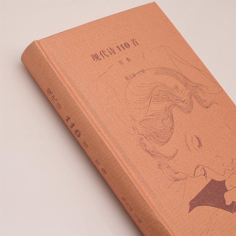 当当网 现代诗110首(红卷) 蔡天新 著 回归诗歌的本质 生活读书新知三联书店 正版书籍 - 图2