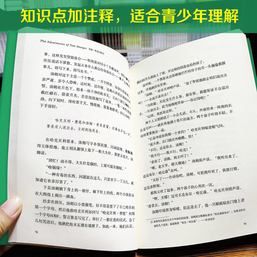 汤姆索亚历险记 名家名译 * 余秋雨 梅子涵鼎力 - 图1